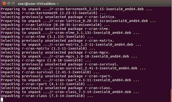 ScreenShot Terminal Unpack Deb Files